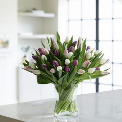 Bouquets de Tulipes 244