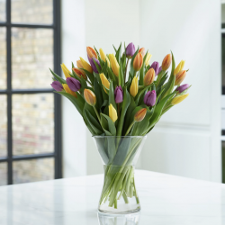 Bouquet de Tulipes 245