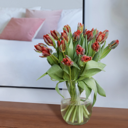 Bouquet de Tulipe 247